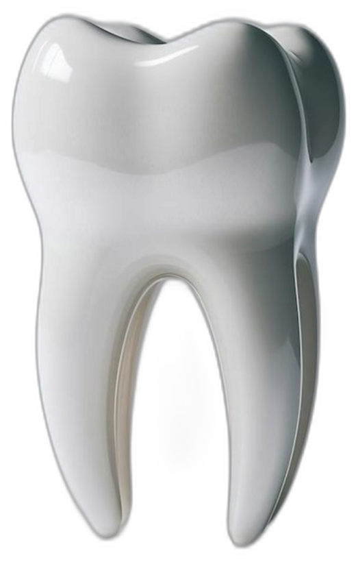 Polished white porcelain tooth